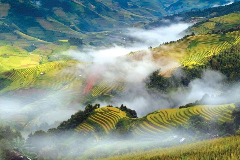 Sapa nổi tiếng bởi vẻ đẹp của núi rừng và biển mây