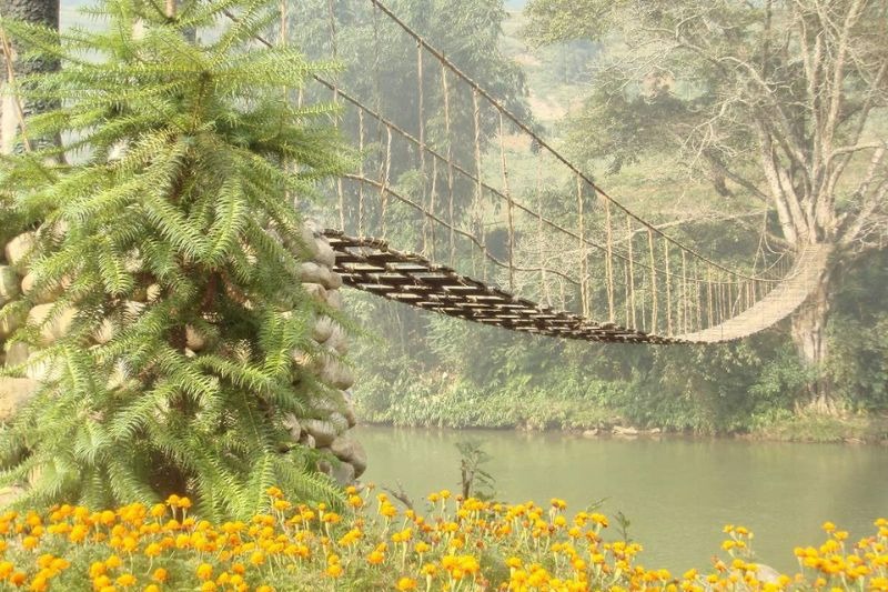 Cầu Mây Tả Văn gây ấn tượng du khách với cảnh vật nên thơ